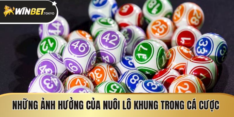 Những ảnh hưởng lớn của nuôi lô khung trong cá cược