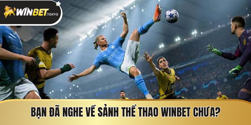 Bạn đã nghe về sảnh thể thao winbet chưa?