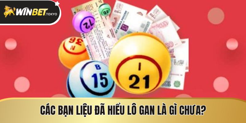 Các bạn liệu đã hiểu lô gan là gì chưa?