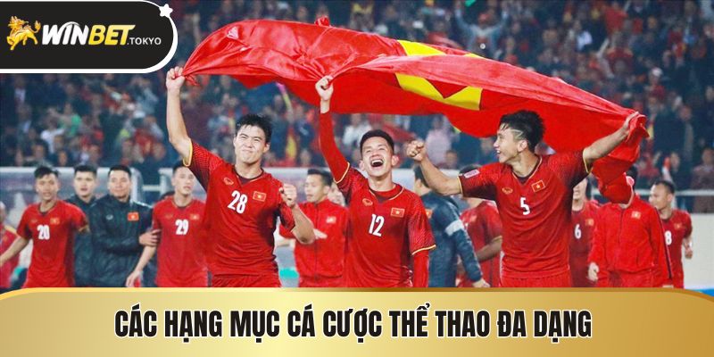 Các hạng mục cá cược thể thao đa dạng