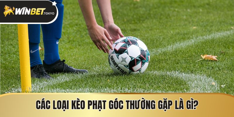 Các loại kèo phạt góc thường gặp là gì?