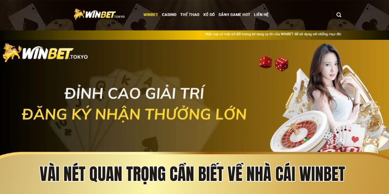 Vài nét quan trọng cần biết về nhà cái Winbet