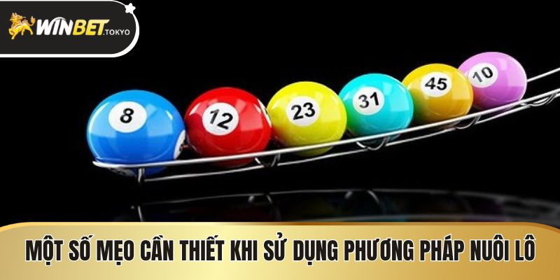 Một số mẹo cần thiết khi sử dụng phương pháp nuôi lô