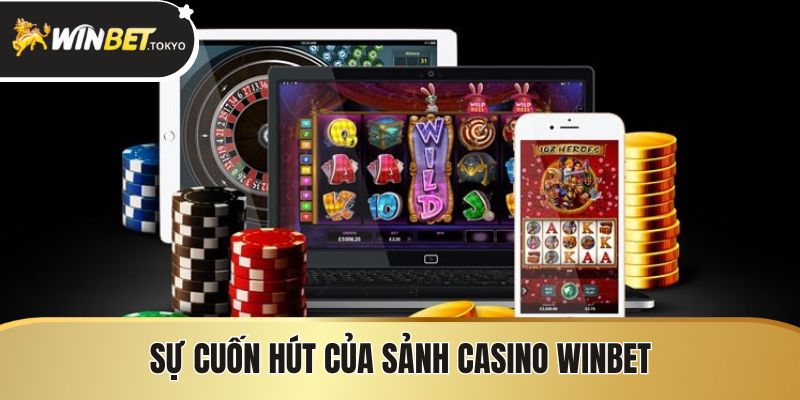 Sự cuốn hút của sảnh casino Winbet