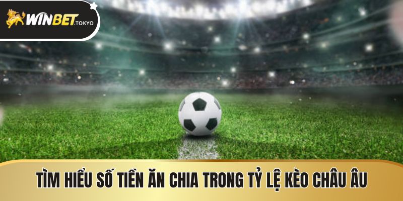 Tìm hiểu số tiền ăn chia trong tỷ lệ kèo châu Âu