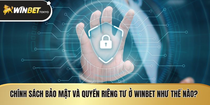 Chính sách bảo mật và quyền riêng tư ở winbet như thế nào?