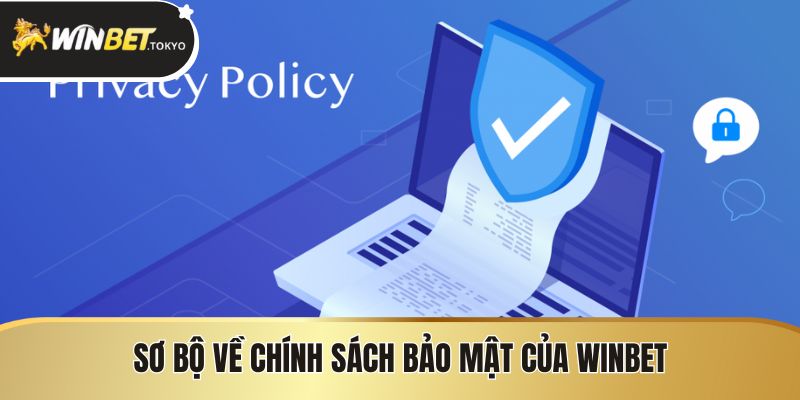 Sơ Bộ Về Chính Sách Bảo Mật Của Winbet