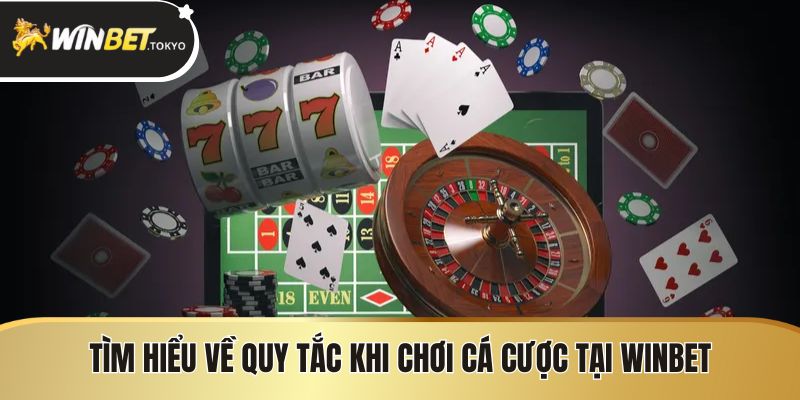 Tìm hiểu về quy tắc khi chơi cá cược tại winbet